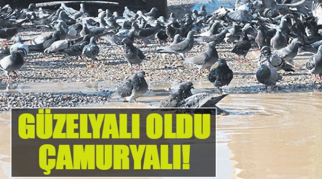 Güzelyalı Oldu Çamuryalı!