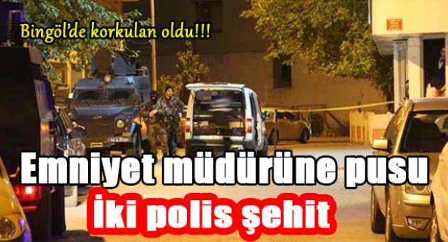 Hainler iş başında! Bingöl'de pusu kurdular...