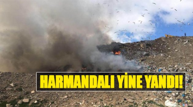 Harmandalı Yine Yandı!
