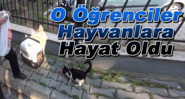 Hayvanlara Hayat Oldular