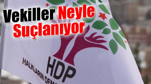 HDP’li Vekiller Neyle Suçlanıyor?
