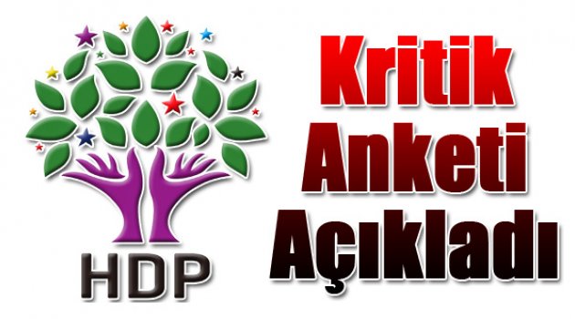 HDP'li Vekil Kritik Anketi Açıkladı...