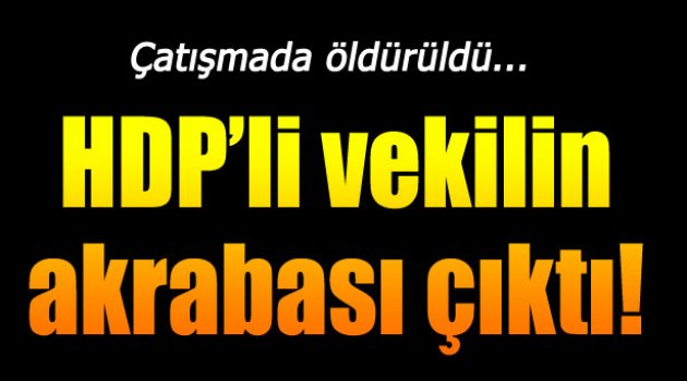 HDP'li Vekilin Kayınbiraderi Çatışmada Öldürüldü