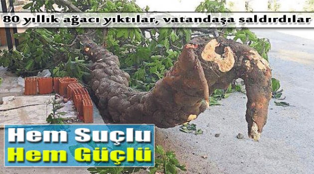 Hem Suçlu Hem De Güçlü!