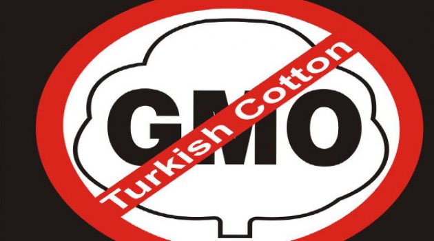 "Hindistan GDO'lu Pamukta Pişman Oldu"