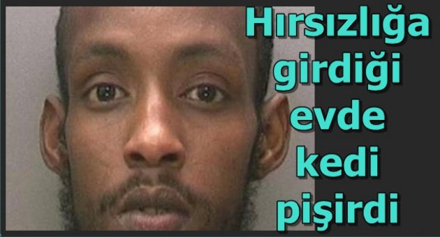 Hırsızlığa girdiği evde kedi pişirdi