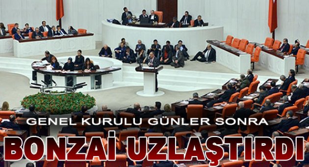 İç Güvenlik Paketi&#039;nde bonzai uzlaşması