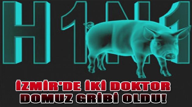 İki doktor domuz gribine yakalandı