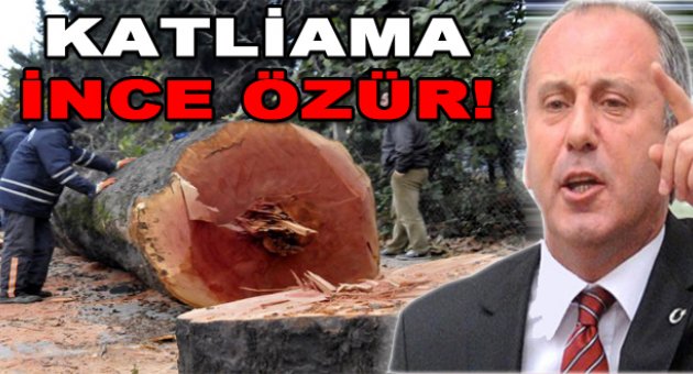 İnce&#039;den ağaç özrü!