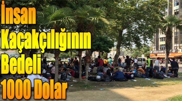 İnsan kaçakçılığının bedeli 1000 dolara indi