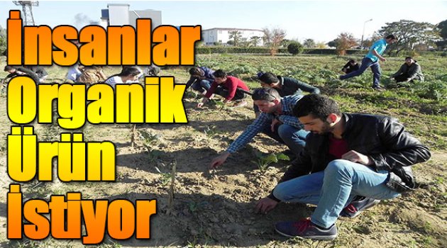 İnsanlar Organik Ürün İstiyor