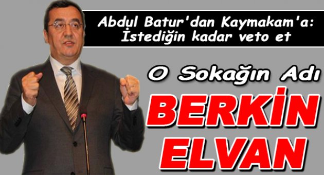 “İstediğin kadar veto et, o sokağın adı Berkin Elvan!”