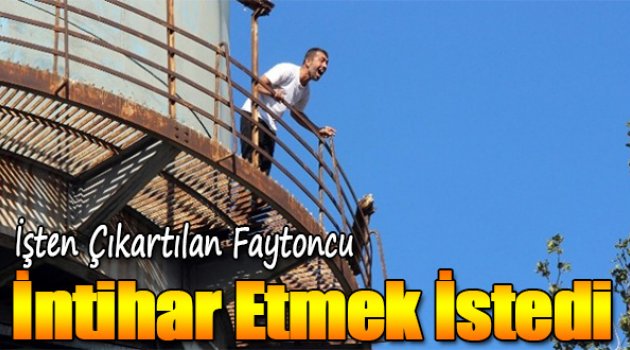 İşten Çıkarılan Faytoncu İntihar Etmek İstedi