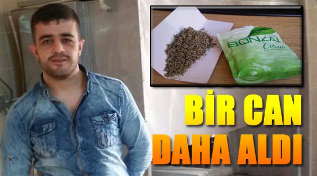 İzmir Bonzaiye Bir Kurban Daha Verdi...