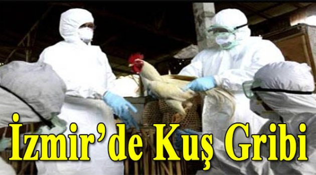İzmir’de kuş gribi