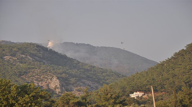  İzmir’de Orman Yangını