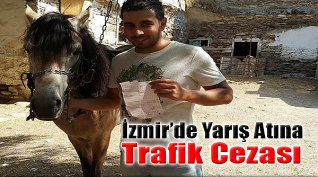 İzmir’de Yarış Atına Trafik Cezası