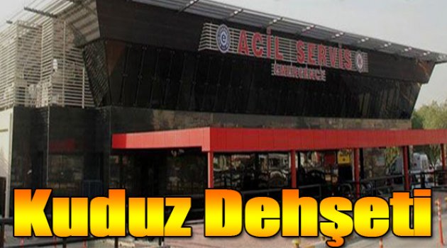 İzmir’in büyük hastanesinde ‘kuduz’ dehşeti!