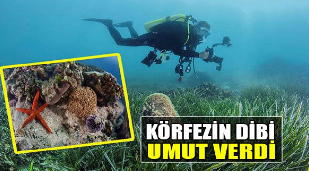İzmir Körfezi'nin Dibi Umut Verdi