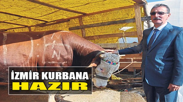 İzmir Kurbana Hazır