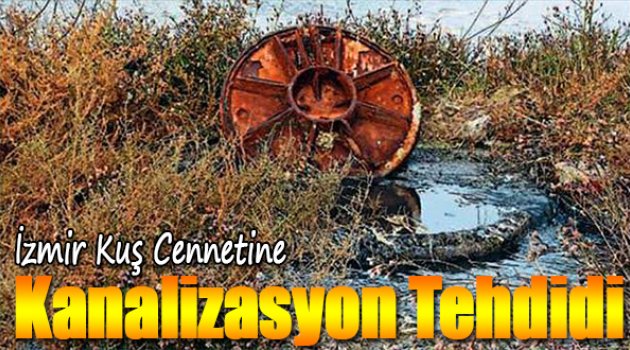 İzmir Kuş Cenneti'ne Kanalizasyon Tehdidi