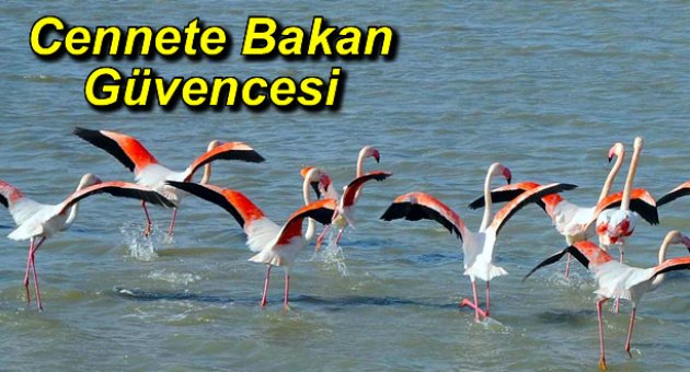 İzmir Kuşcennetine Bakan Güvencesi