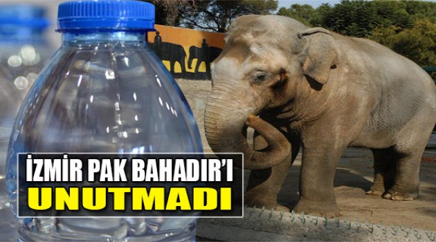 İzmir, Pak Bahadır&#039;ı Unutmadı