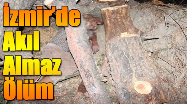 İzmir&#039;de Akıl Almaz Ölüm