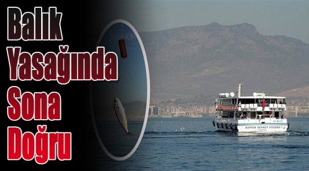 İzmir'de Balık Yasağında Sona Doğru