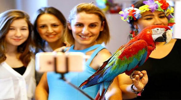 İzmir'de Evcil Hayvan Günleri Başladı