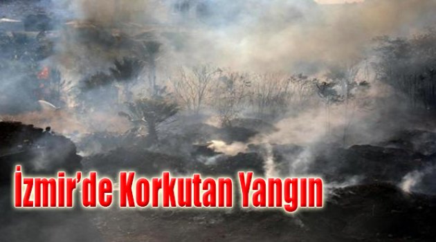 İzmir'de Korkutan Yangın!
