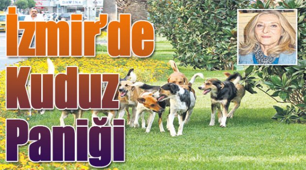 İzmir'de Kuduz Paniği