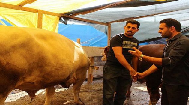 İzmir&#039;de Kurban Bayramı Hareketliliği