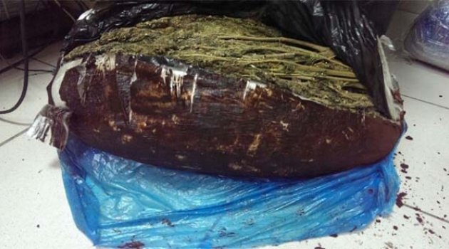 İzmir'de Uyuşturucu Tacirlerine Darbe