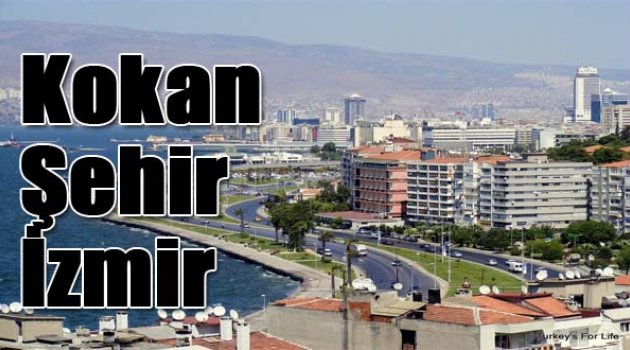 İzmir'in adı artık 'kokan şehir' oldu