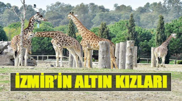 İzmir'in Altın Kızları