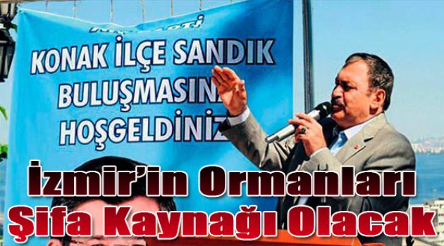 İzmir&#039;in ormanları şifa kaynağı olacak