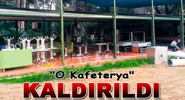 Kaçak kafeterya kaldırıldı