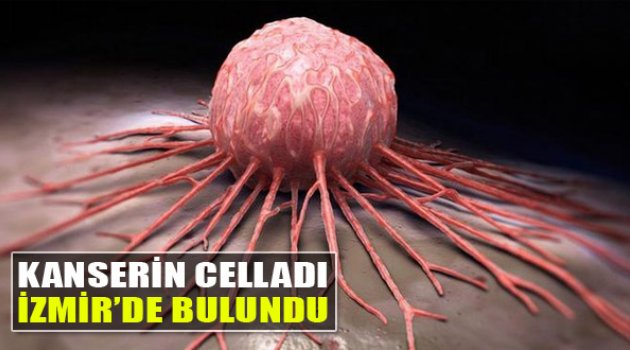 Kanserin Celladı İzmir'de Bulundu