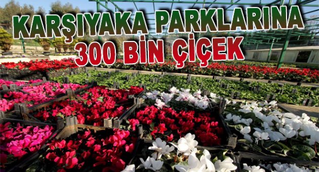 Karşıyaka parklarına 300 bin çiçek