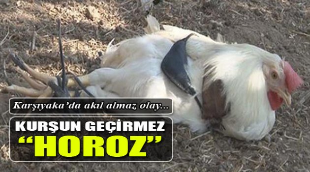 Karşıyaka'da Akıl Almaz Olay!