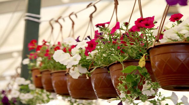 Karşıyaka'da Festival Konserleri İptal