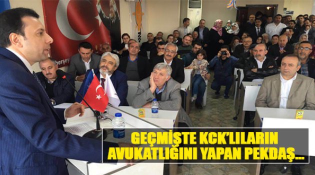 Kaya:"Geçmişte KCK'lıların Avukatlığını Yapan Pekdaş..."