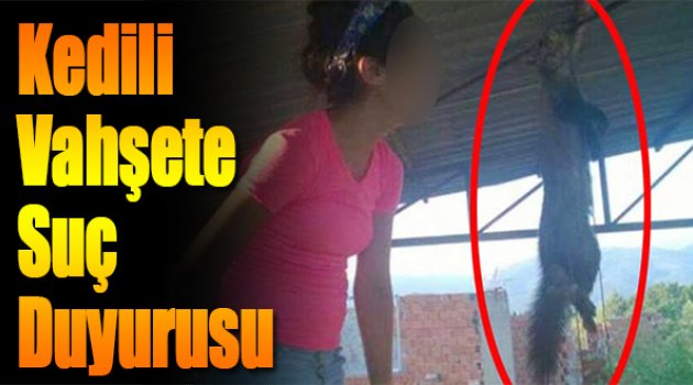 Kedili Vahşete Suç Duyurusu