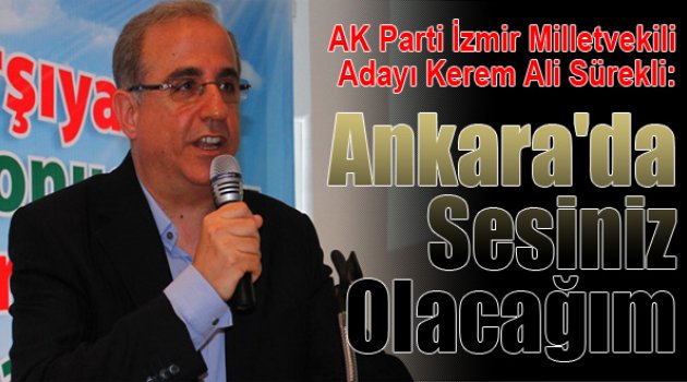 Kerem Ali Sürekli: "Ankara'da sesiniz olacağım"