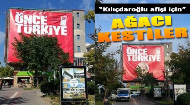 Kılıçdaroğlu Afişi Ağaç Kestirdi