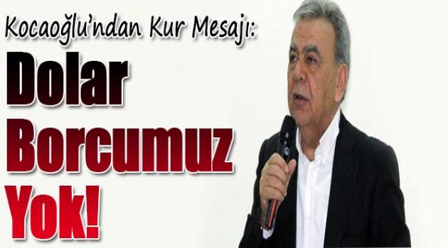 Kocaoğlu’ndan ‘kur’ mesajı: Dolar borcumuz yok!