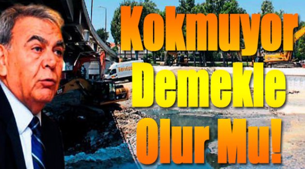 Kokmuyor demekle olur mu!