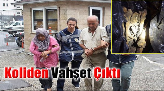 Koliden Vahşet Çıktı