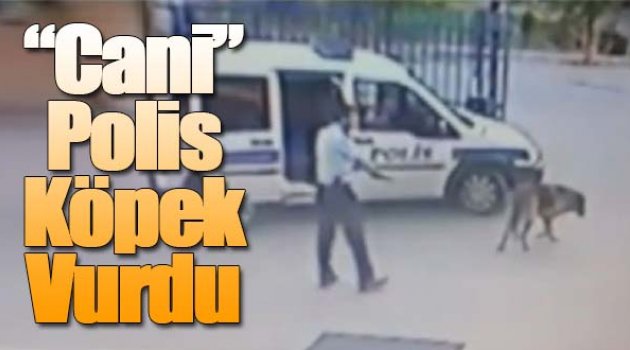 Komiser Yardımıcısı Karakol Bahçesinde Köpek Vurdu